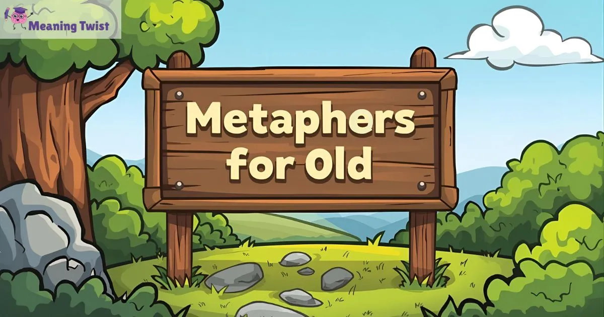 43+ Metaphors for old that wrinkle with wisdom